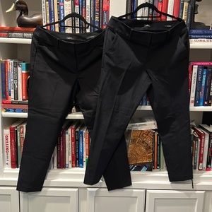 2 pair - LOFT - size 10 - Julie skinny